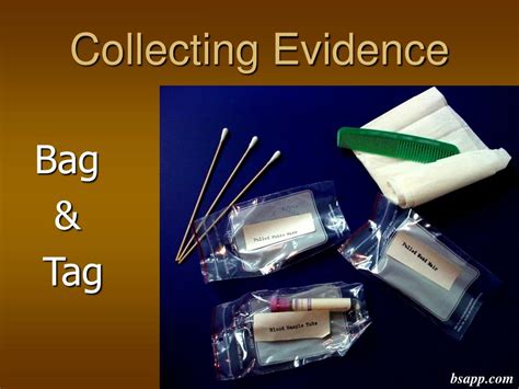 how to collect blood evidence